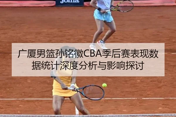 广厦男篮孙铭徽CBA季后赛表现数据统计深度分析与影响探讨